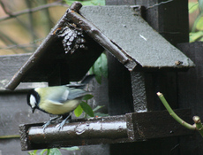 Adventskranz-A Meise-am-Vogelhaus-2.jpg